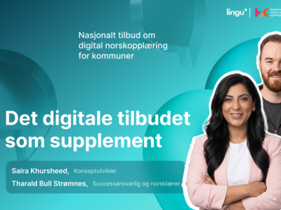 Det digitale tilbudet som supplement