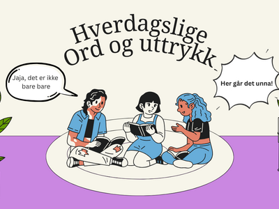 Snakk mer naturlig norsk: Slang og uttrykk